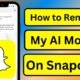 get rid of my ai on snapchat